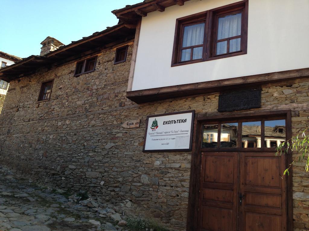 Ristevata Guest House Kovačevica Zewnętrze zdjęcie