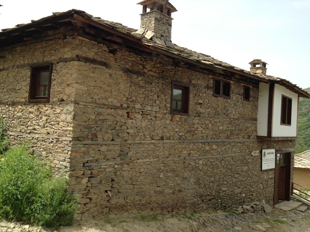 Ristevata Guest House Kovačevica Zewnętrze zdjęcie